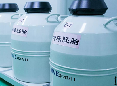 浙江省妇保医院胚胎冷冻保存一年的费用大概是多少?