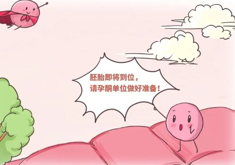 着床成功是怀孕的开始