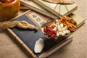 十全大补汤由人参和肉桂等药材组成