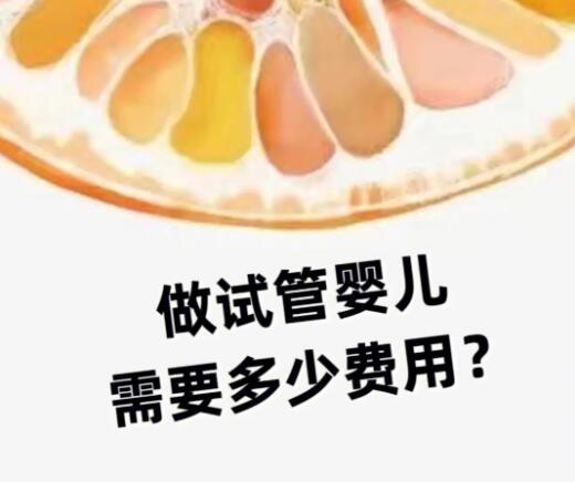 去日本做赠卵试管费用，日本赠卵试管费用的构成？