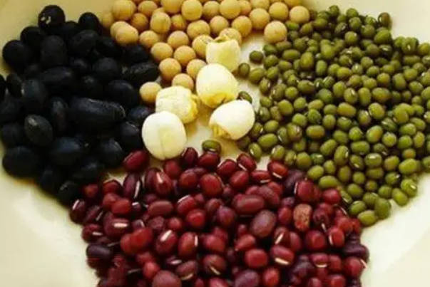 豆类食物能使卵泡快速长大