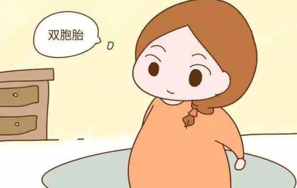 试管双胎是通过体外受精技术受孕的