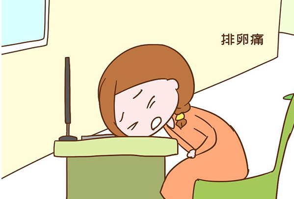 计算排卵日可以提高备孕效率