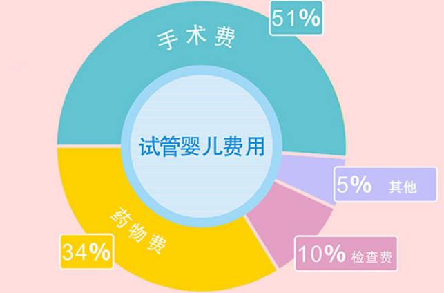 高龄女性去海医一附院做试管婴儿的费用明细有哪些？