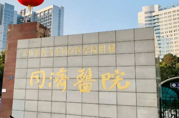 武汉同济医院试管技术好