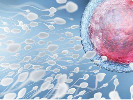 做试管如何制定一个最佳方案?有几种方案？