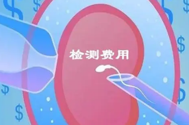 做三代试管婴儿前男女双方的检查费用一共是多少钱？