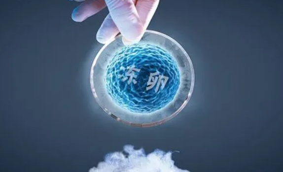 2024鄂州当地的医院有卵子库吗？想做试管婴儿需要卵子