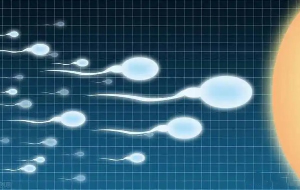男性精子核蛋白不成熟率小于35可以做二代试管吗？