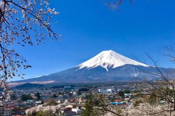 日本做试管门槛不高