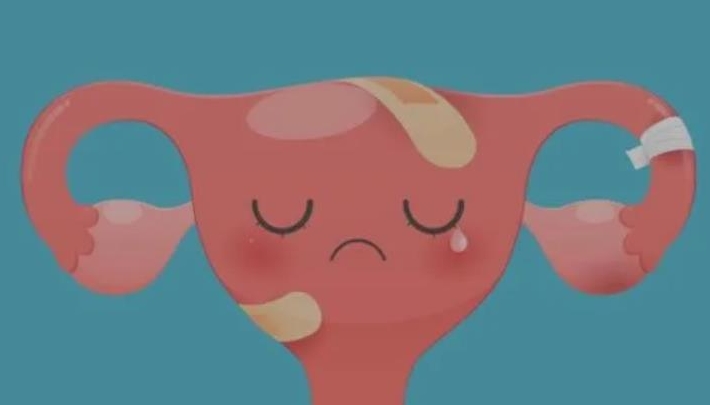 子宫内膜薄移植成功的姐妹能分享一下经验所得吗？
