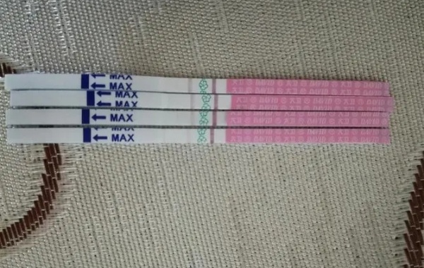 三代试管移植冻胚八天试纸没反应还有希望吗？