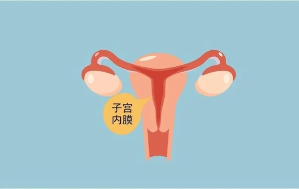 网传子宫内膜6mm试管一次成功案例多是真的吗？