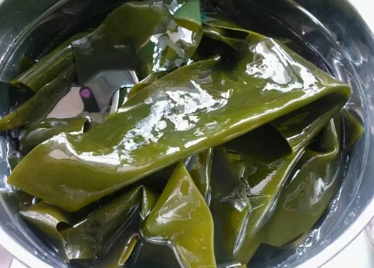 海带会导致奶水减少