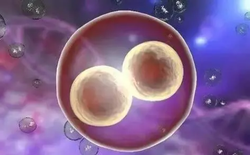 三代试管培养出来的第七天的4bc的囊胚质量怎么样？能移植吗？