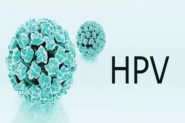 感染了hpv高危病毒还能不能做三代试管婴儿呢?