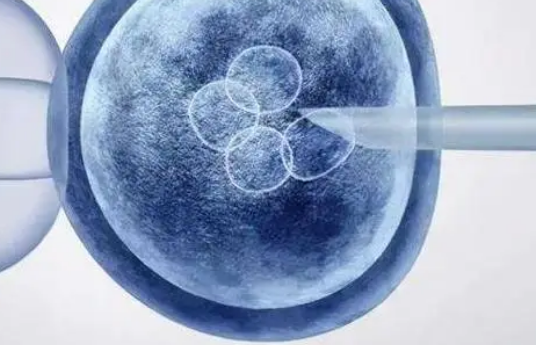 试管婴儿放两个囊胚成活率有90%那么高吗？
