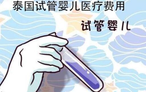 去泰国做婴儿试管的条件包括哪些?