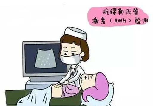 抗缪勒氏管激素1.88多久闭经，数值过度会提前围绝经期