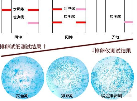 排卵试纸监测结果对比图