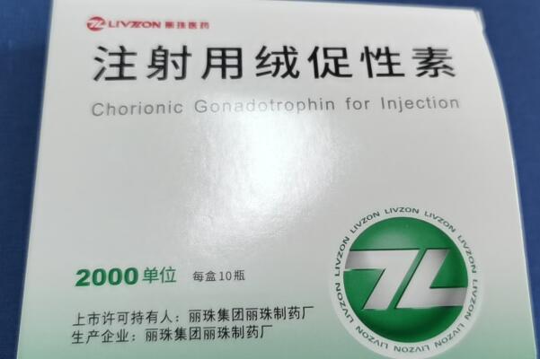 排卵后打hcg可促进卵泡发育