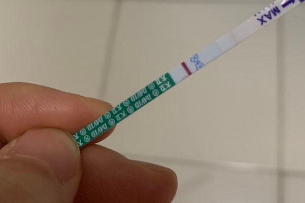 请问囊胚移植后第6天结果显示为白板该如何补救呢?