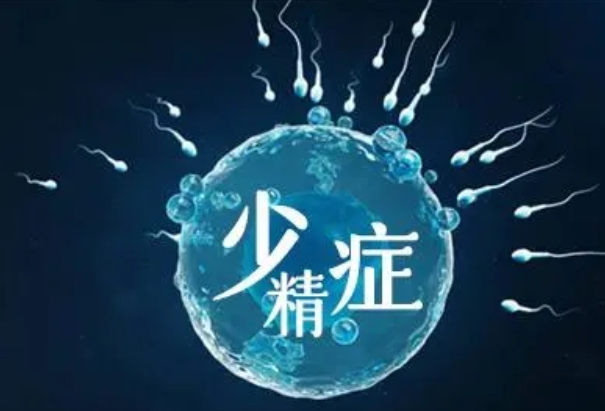 少精弱精会影响生育