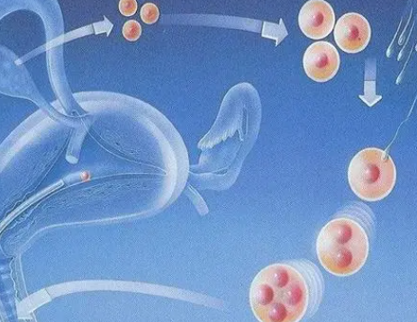 云南妇幼保健院借卵子试管助孕多少钱一次？附云南供卵助孕试管医院