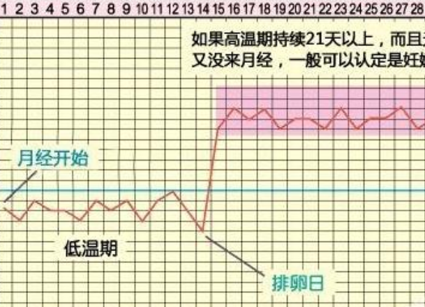 体温变化可以判断排卵时间