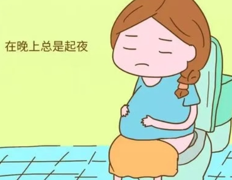 怀孕初期起夜次数的多少不能看男女