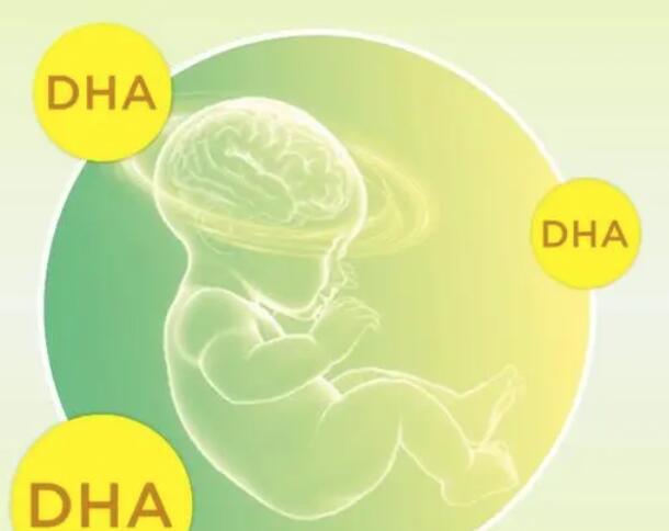 孕妇吃dha的作用讲解，不仅对自身有效对胎儿也有好处