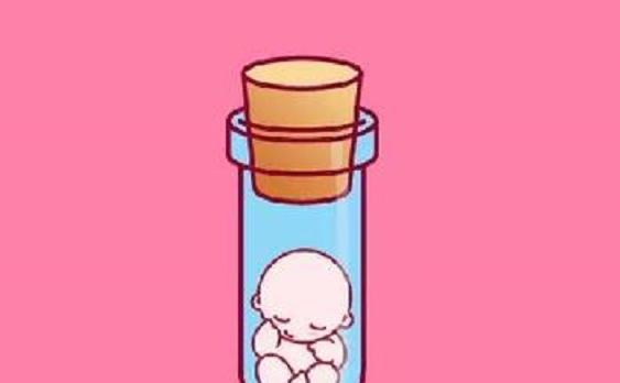 四代试管婴儿技术还处于探究的阶段