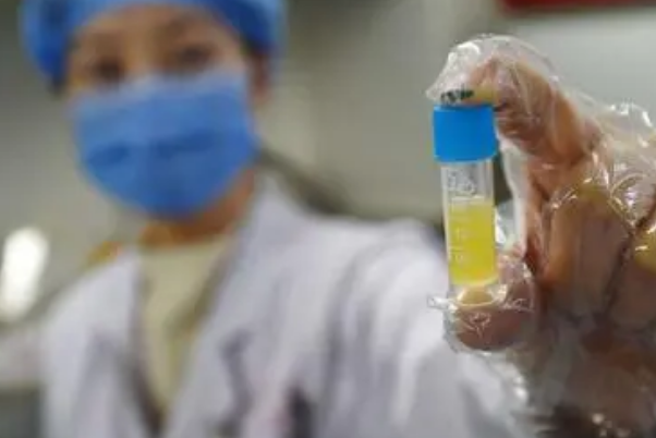一文说清做供精人工授精的流程及费用，促排、取卵一个都不少