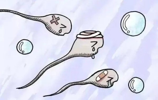 36岁男性ab级精子活力20%能做二代试管吗？