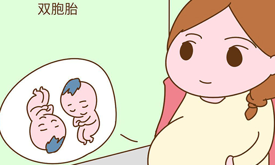 试管实现龙凤胎是一项复杂的过程