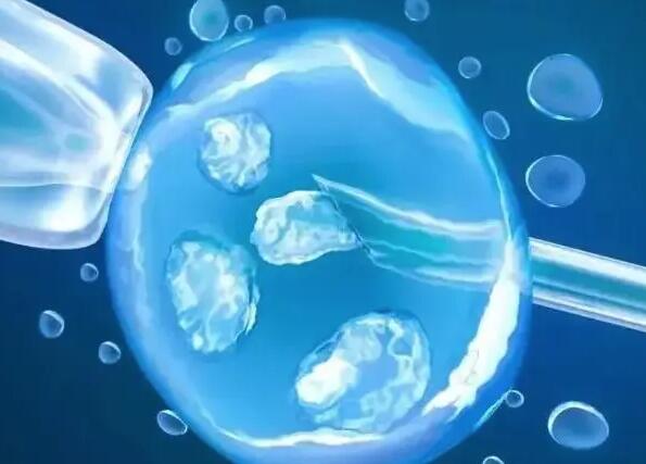 2024广州较好的供卵试管婴儿医院有哪些？试管医院如何申请供卵