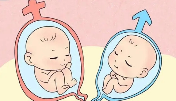 同卵双胞胎受精成功后在孕几周才分离成两个胚胎？