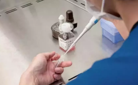 泰国做试管怎么样？到泰国做试管的这些好处一看便知