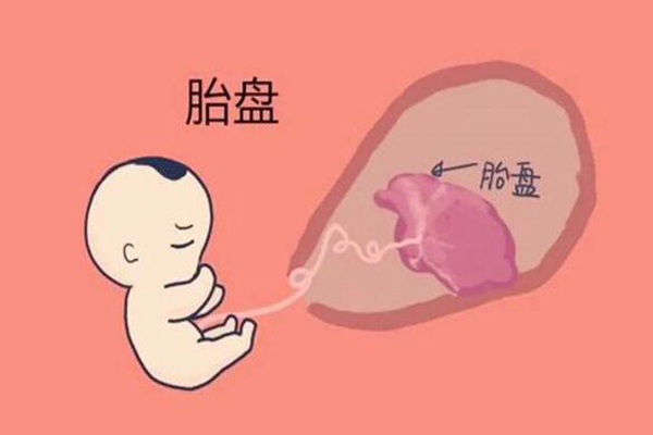 孕酮可观察胎盘功能