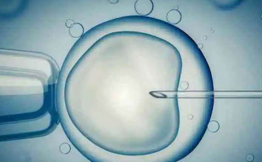 冻胚移植女性子宫内膜较薄只有6mm三代试管移植会一次成功吗？