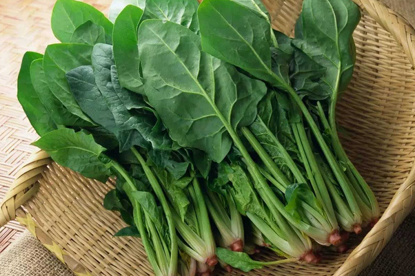 菠菜含有维生素c和矿物质