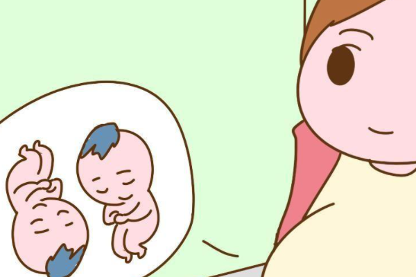 25岁做三代试管移植两个囊胚后怀上双胞胎的成功率高吗？