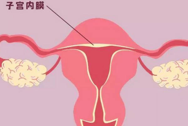 子宫内膜增厚可能是孕激素引起