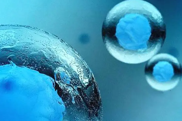 冻胚移植前身体需要要达到什么条件才好着床成功？