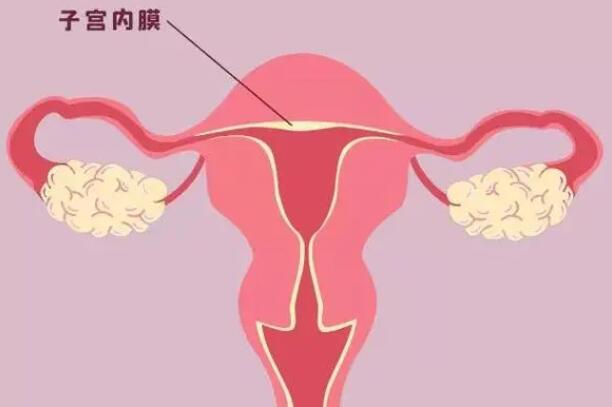 不完全纵隔子宫做试管有3个条件，宫内环境好可助孕