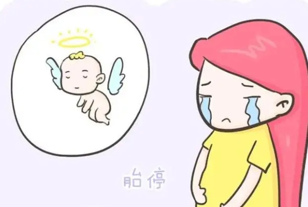 胎停
