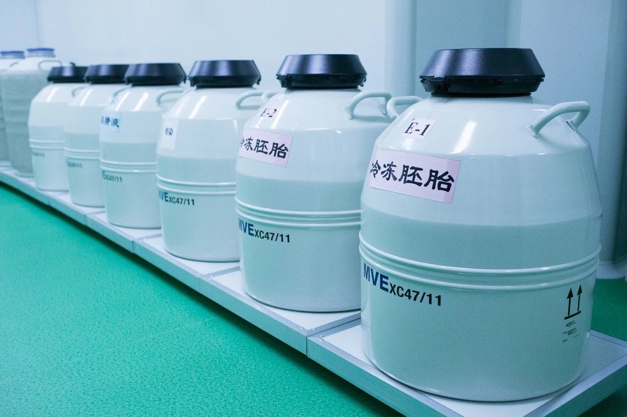 差的囊胚成功妊娠可能性低