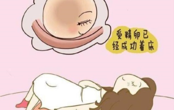 同房后7-10天左右着床