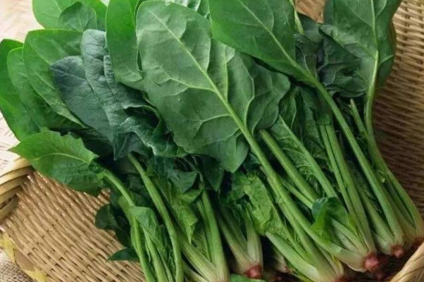 菠菜是强碱性食物