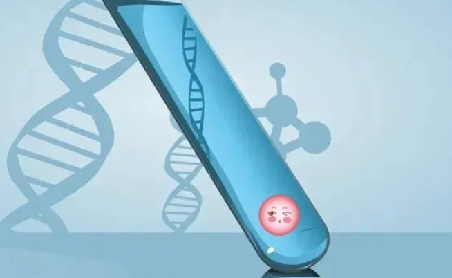 试管婴儿最难的那一关是胚胎移植吗？